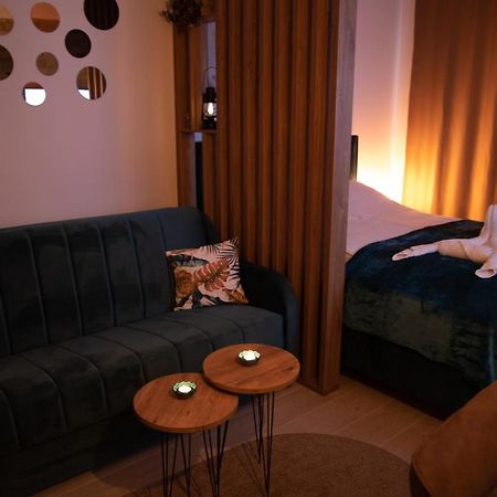 Apartman Larisa Kopaonik Kültér fotó