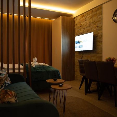 Apartman Larisa Kopaonik Kültér fotó